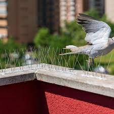 Integrated Pest Management