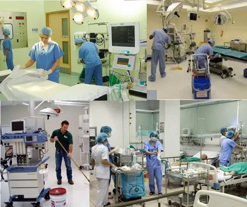 Hotel Hygiene Pest Management