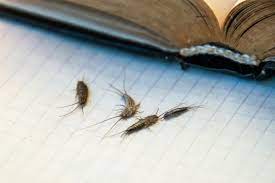 Integrated Pest Management